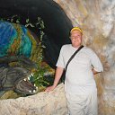 ���� ����, ��������, 43 ���� - ��������� 6 ������ 2015