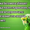 ���� ������, ������ - ��������� 2 ������ 2015 � ������ ��������)))�