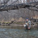 ���� ����, �����������-��-�����, 65 ��� - ��������� 18 ������� 2014 � ������ ������ ��������