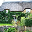 ���� ���������, �������, 62 ���� - ��������� 1 ����� 2015 � ������ ������ ��������