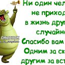 ���� ������, ������ - ��������� 10 ������ 2015 � ������ ���� ����������