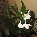 ���� ��������, ��������, 73 ���� - ��������� 26 ������� 2015 � ������ ��������-��������