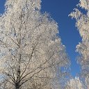 ���� �����, ������� - ��������� 15 ������� 2015 � ������ ���� ����������