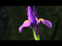 ����� ������ ��������,������ � ������ �������� � ��������������� �����!����� ������ ���� ��������,���� ������� ��������,� � ����� ����� ����������� ���������� ����!