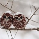 ���� ����, ������, 25 ��� - ��������� 24 ������ 2015 � ������ ���� ����������