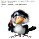 ���� ���������, ����� - ��������� 15 ������ 2015 � ������ ������ ��������