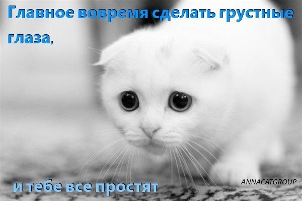       - 3  2015  15:02