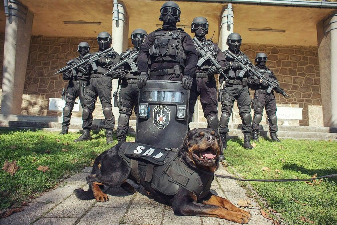 ���������� � ������. ��������� ������.