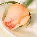 ���� &hearts; ������� &hearts;, ������ - ��������� 13 ������ 2015 � ������ ������ ��������