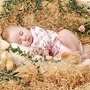 ���� ��� - B, ���������� - ��������� 25 ����� 2015 � ������ ������ ��������