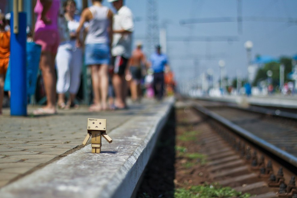    Danbo,       . - 3