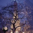 ���� �����, ����� - ��������� 28 ������� 2015 � ������ ���� ����������