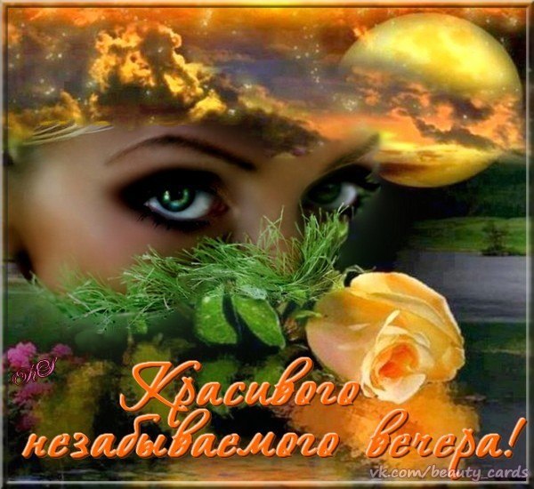 ����� - 24 ����� 2015 � 22:45