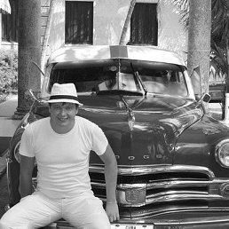 �����, ������, 41 ���