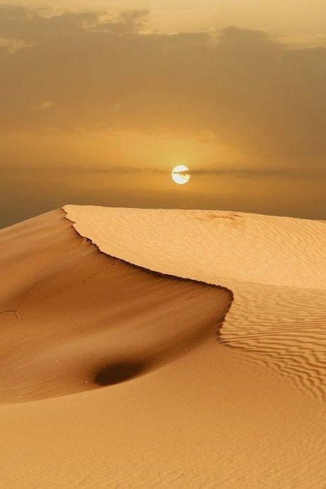    -   (Sahara Desert).     .   ... - 4