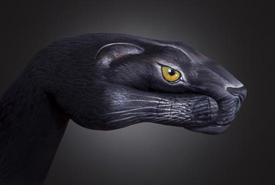   .    (Guido Daniele)   ... - 6