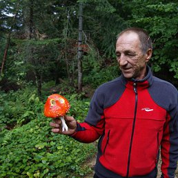 �������, ����, 69 ���