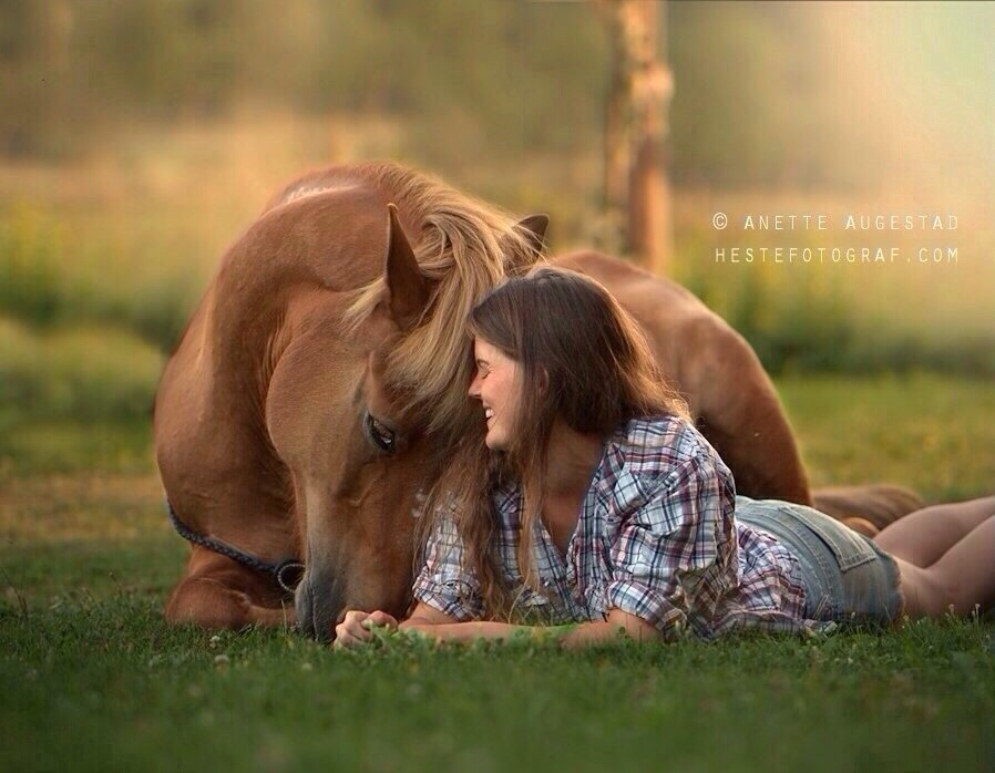 Животные любят женщин. Любовь лошадей. Лошади обнимаются. Девушка обнимает лошадь. Девушка с лошадью.