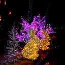 ���� ������, ������������, 72 ���� - ��������� 27 ������ 2015 � ������ ������� ���������߻