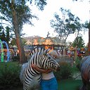 ���� ��������, �����������-��-�����, 67 ��� - ��������� 22 ������� 2015 � ������ ���� ����������