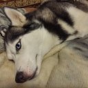 ���� �������, ������������, 42 ���� - ��������� 21 ������� 2015 � ������ ���� ����� � ���-�������.�