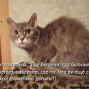 ���� ������, ���������, 49 ��� - ��������� 21 ������ 2015 � ������ ������ ��������