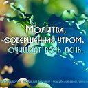 ���� �����, �����, 49 ��� - ��������� 13 ������� 2015 � ������ ������ ��������