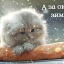 ���� ����, ������, 71 ��� - ��������� 30 ������ 2015 � ������ ���������������� �������� - ������� � ���������!�