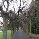 ���� Igor, �����������, 39 ��� - ��������� 14 ������ 2015 � ������ ���������+���������