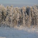 ���� �������, �������, 68 ��� - ��������� 9 ����� 2015 � ������ ���� ����������