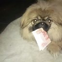 ��� ���!!!!!! �� ������� ���� ����������