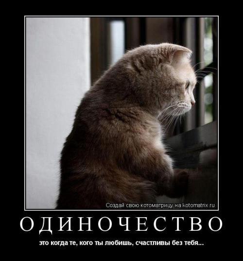 А может оно того стоило. Ну и что, что она истеричка, ну и что, что гордая и не звонит тебе первая, ...