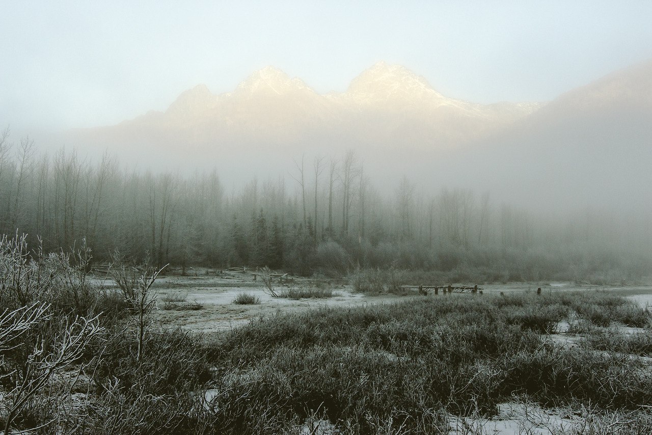 Alaska