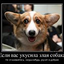 ���� �������, �����-���������, 70 ��� - ��������� 19 ������� 2015 � ������ ���� ����������