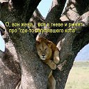 ���� �������, �����-��������� - ��������� 1 ������ 2015 � ������ ������ ��������