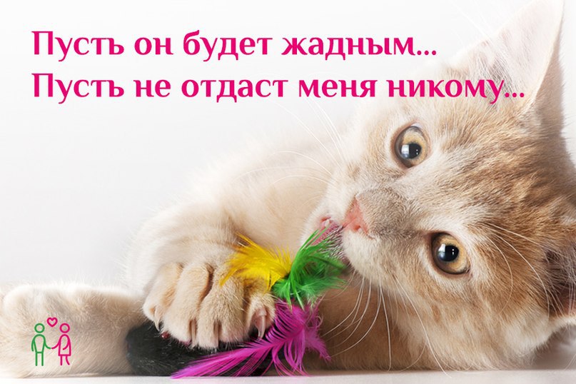 �� ������� �� �����! - 18 ������ 2015 � 20:35
