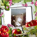 ��� ��� ���� �� ������� ���� ����������