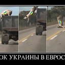 ���� ��, ������������, 50 ��� - ��������� 25 ������� 2014 � ������ ������ ��������