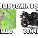 ���� Andy, �����-��������� - ��������� 3 ����� 2015 � ������ ������ ��������