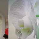 ���� ����, ������, 46 ��� - ��������� 30 ����� 2015 � ������ ���� ����������