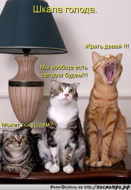 ��� ���� � ����� �� �� - 14 ������ 2015 � 18:31