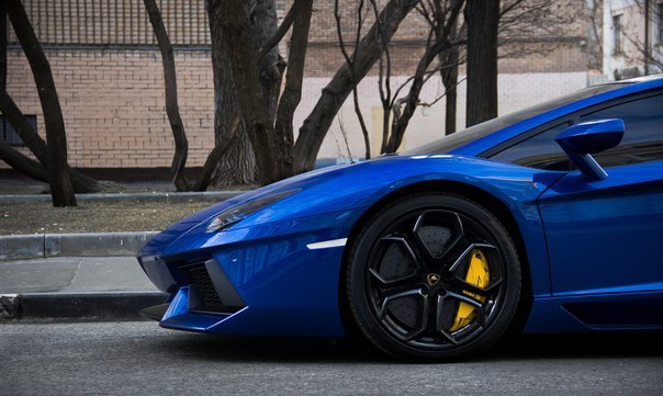 Blue Lamborghini Aventador - 7