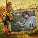 ���� ����, ��������� - ��������� 27 ����� 2015 � ������ ������ - ������ �����������