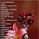 ���� �����, ������������, 67 ��� - ��������� 16 ����� 2015 � ������ ������ ��������