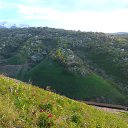  , , 47  -  7  2015     ,  2013 .