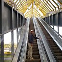 ���� �����, �������, 41 ��� - ��������� 9 ������ 2015 � ������ ���� ����������