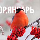 ���� ���������, �����, 53 ���� - ��������� 25 ������ 2015 � ������ ������ ��������