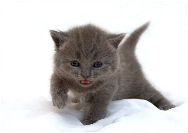 K K - 16  2014  16:48 - 3