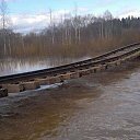 ���� �����, ������, 36 ��� - ��������� 7 ������ 2015 � ������ ������ ��������