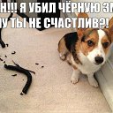 ���� ���������, ����, 48 ��� - ��������� 13 ������� 2015 � ������ ������ ��������